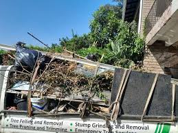 Best Residential Junk Removal  in Lamont, MI