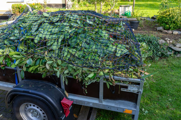Best Recycling Services for Junk  in Lamont, MI